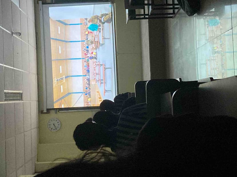 Environmental Video Screening